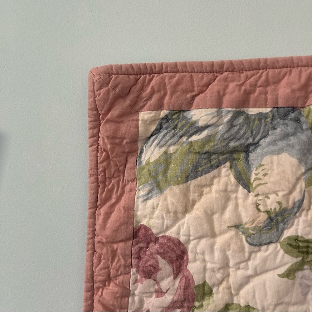 Pottery barn kids euro sham